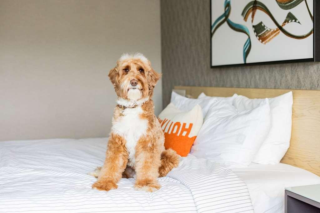 Cambria Hotel Burbank Airport ห้อง รูปภาพ