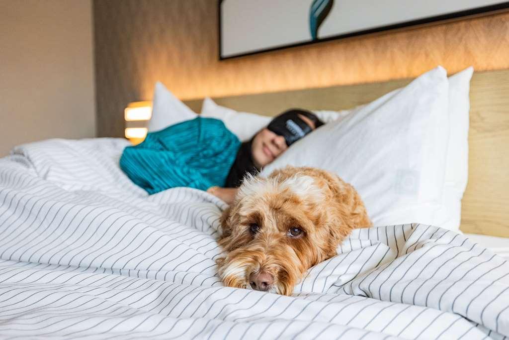 Cambria Hotel Burbank Airport ห้อง รูปภาพ